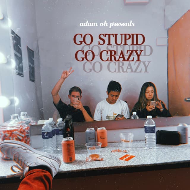 Album cover art for GO STUPID GO CRAZY