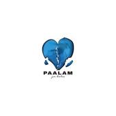 Album cover art for Paalam