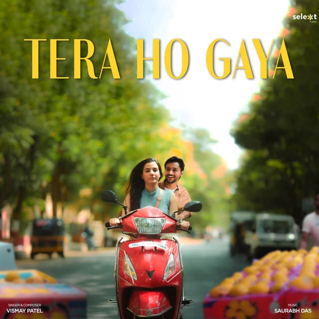 Album cover art for Tera Ho Gaya