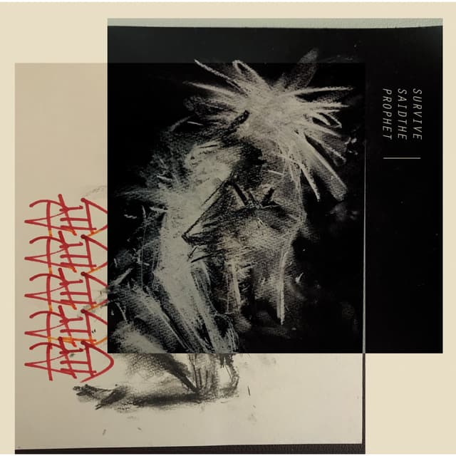 Album cover art for RED