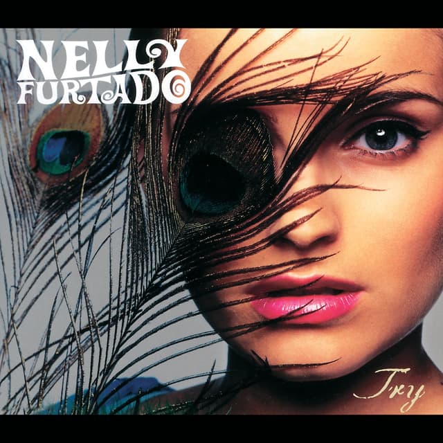 Album cover art for Try