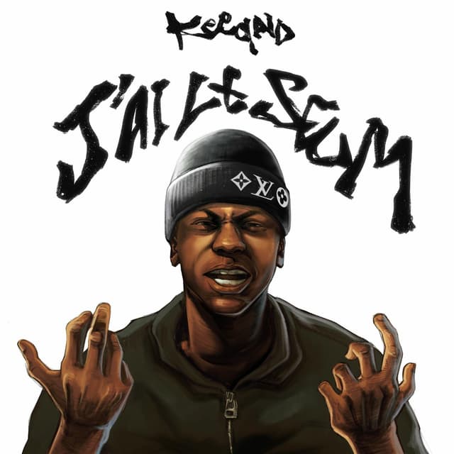Album cover art for J'ai le seum
