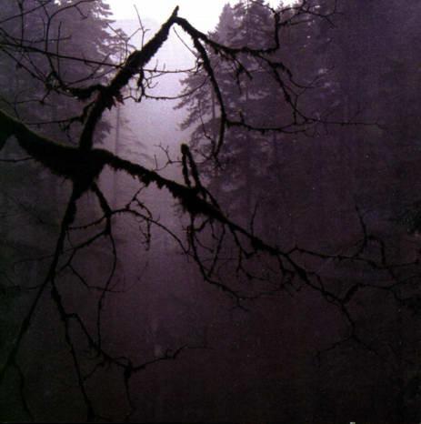 Album cover art for The Poisoner