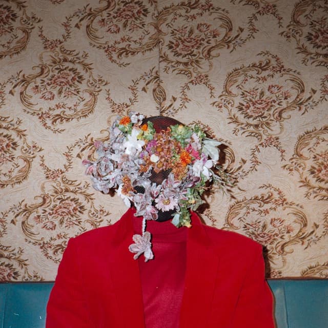 Album cover art for sin nada
