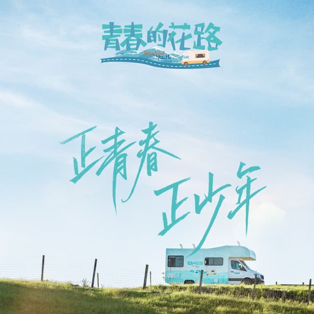 Album cover art for 青春的花路