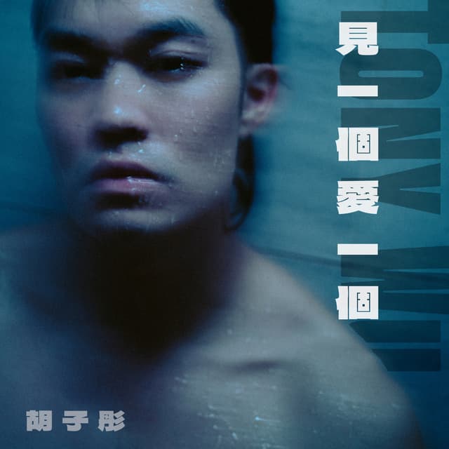 Album cover art for 見一個愛一個