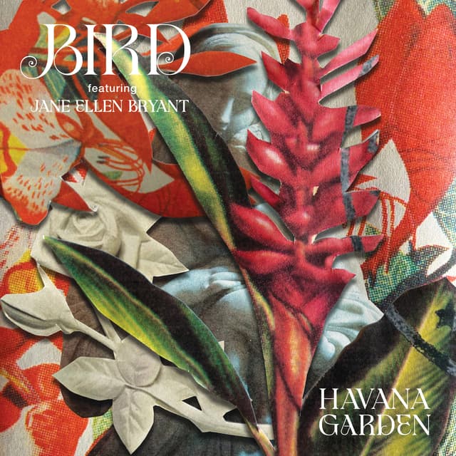 Album cover art for Havana Garden