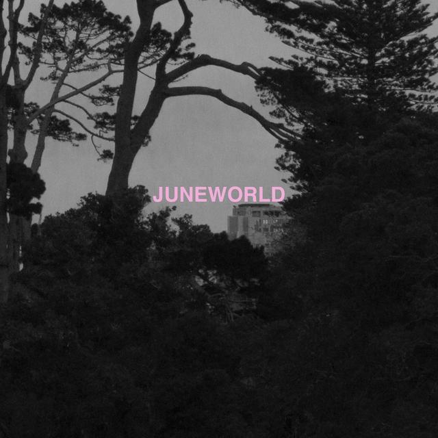 Album cover art for JUNEWORLD