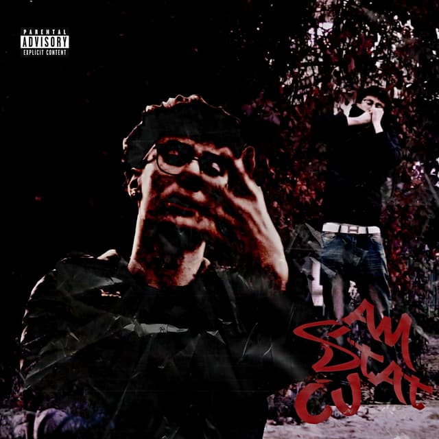 Album cover art for Am Stat Cu