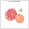 시간을 달리네 Goodbye, My Summer (Goodbye, My Summer)