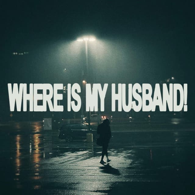 Album cover art for WHERE IS MY HUSBAND!