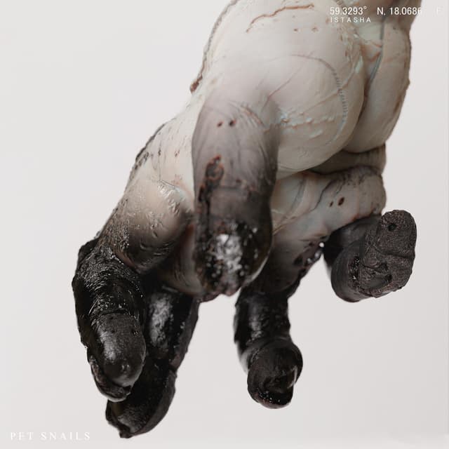 Album cover art for The Distortion That Creates Them