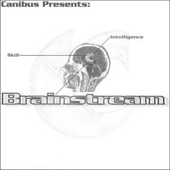 The Brainstream