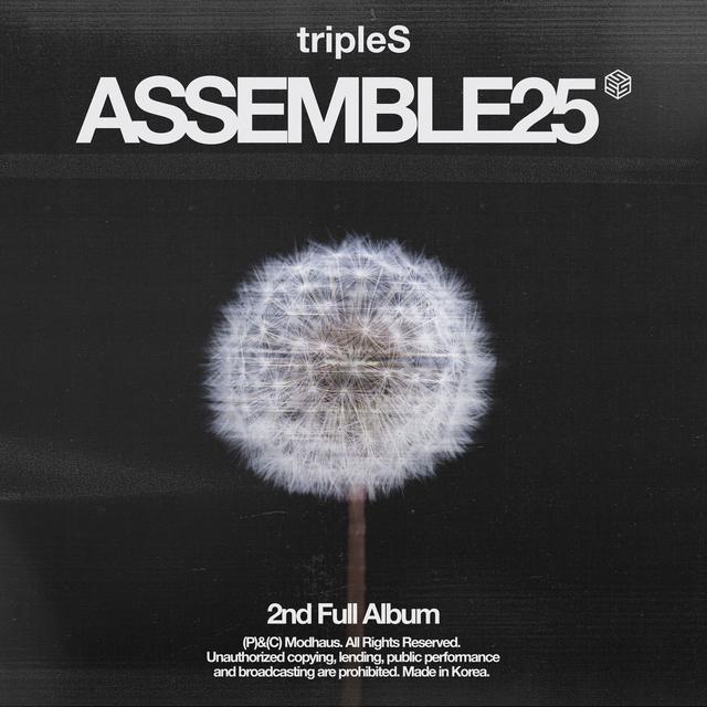 Album cover art for <ASSEMBLE25>