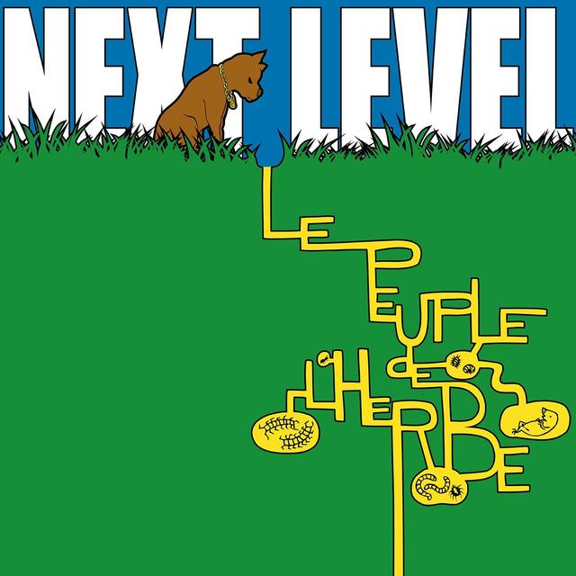 Album cover art for Next Level