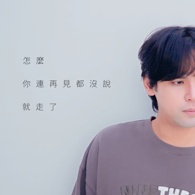 Album cover art for 怎麼你連再見都沒說就走了