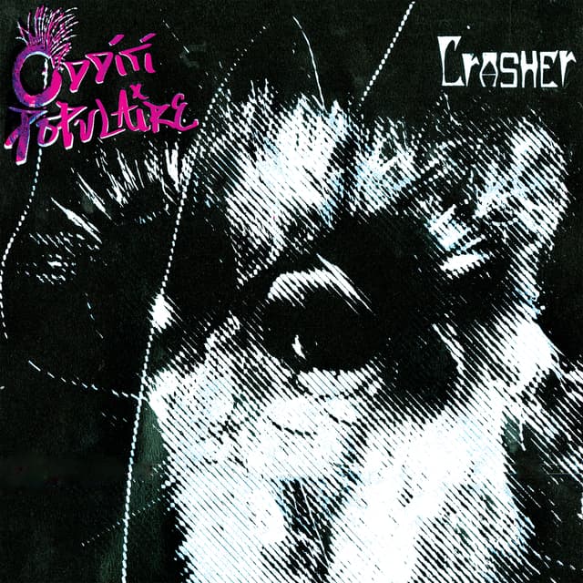 Album cover art for Odditi Populaire