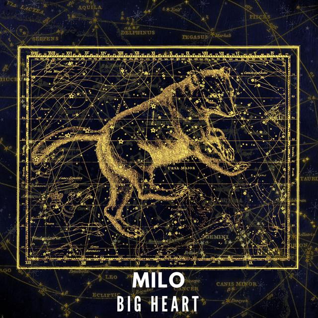 Album cover art for Big Heart