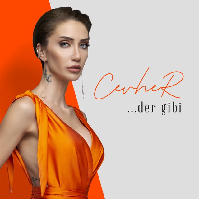 Album cover art for Der Gibi