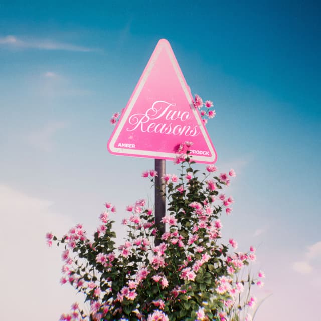 Album cover art for Two Reasons