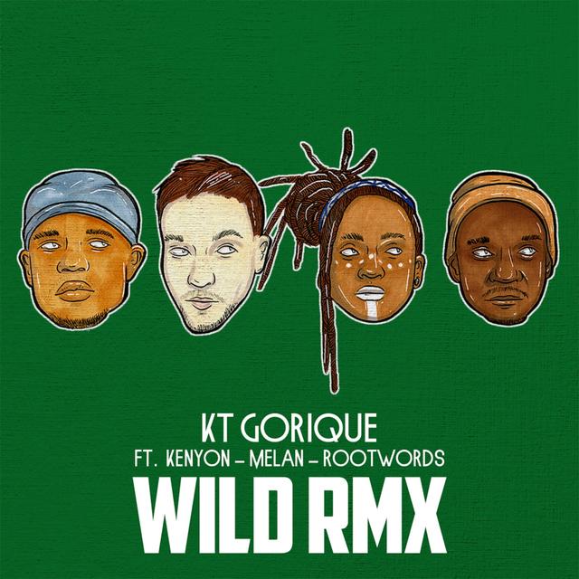 Album cover art for Wild (RMX)