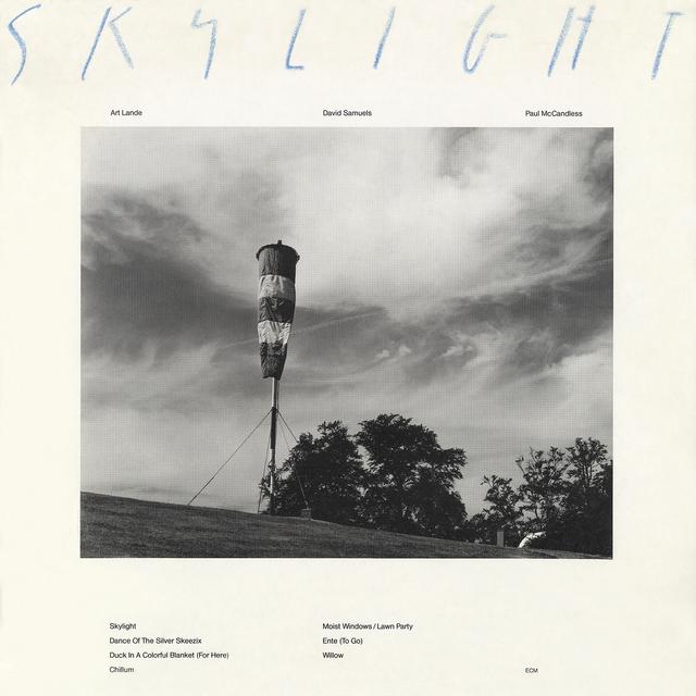 Album cover art for Skylight