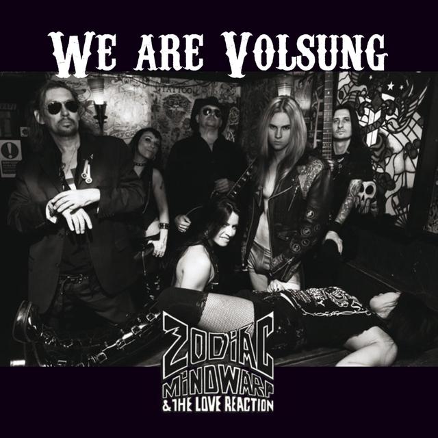Album cover art for We Are Volsung