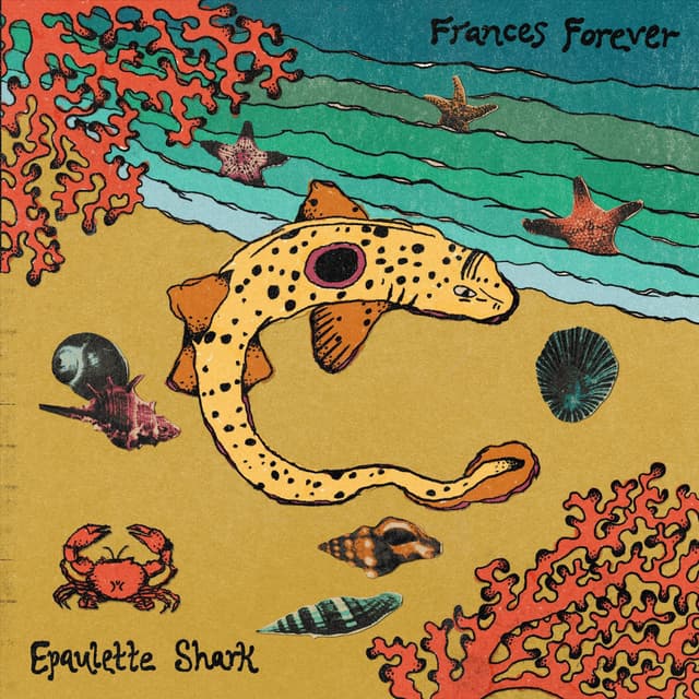 Album cover art for Epaulette Shark