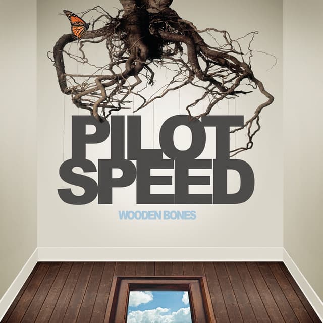 Album cover art for Wooden Bones