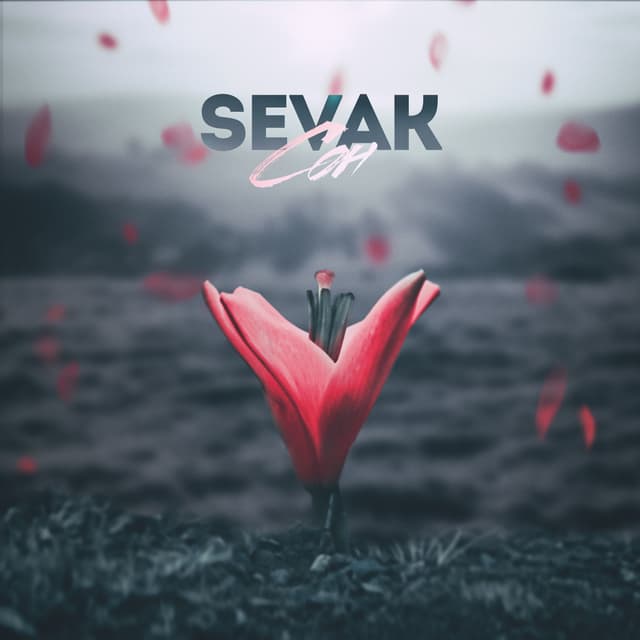 Album cover art for Сон