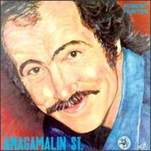 Album cover art for Amagamalin Street