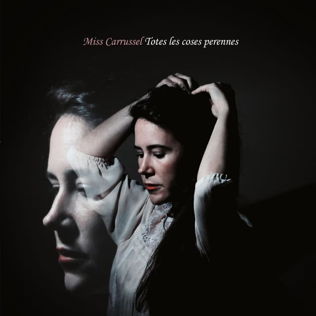 Album cover art for Totes les coses perennes