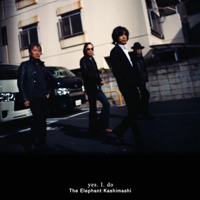 Album cover art for yes. I. do