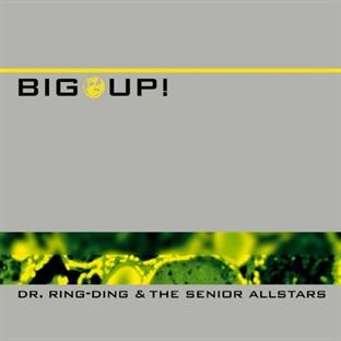Album cover art for Big Up!