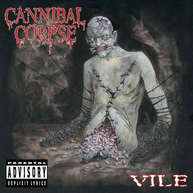 Album cover art for Vile