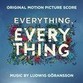 Album cover art for Everything, Everything