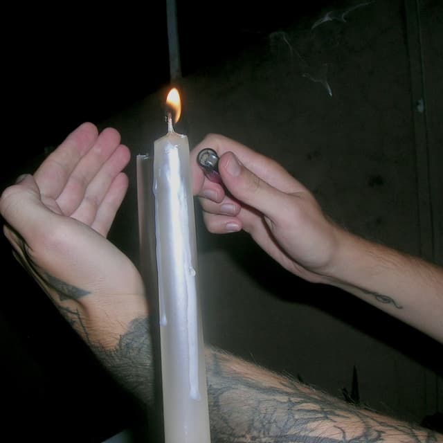 Album cover art for Laleler Beyaz