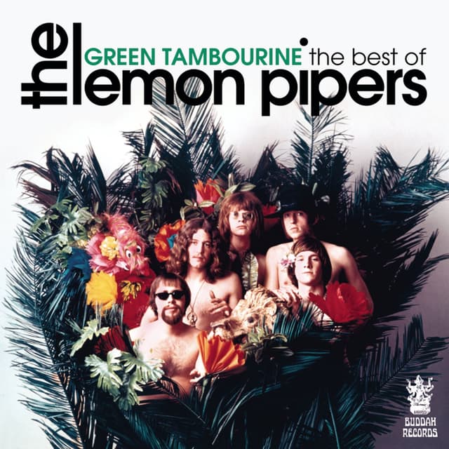 Album cover art for The Best of the Lemon Pipers