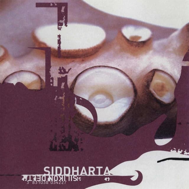 Album cover art for Silikon Delta