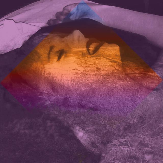 Album cover art for Dance of the Flies