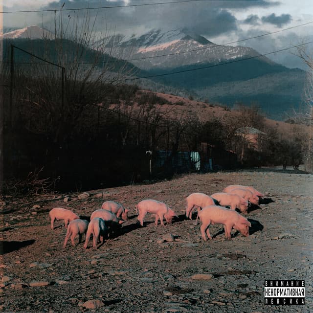 Album cover art for Место рождения 2