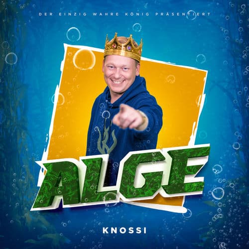 Album cover art for Alge