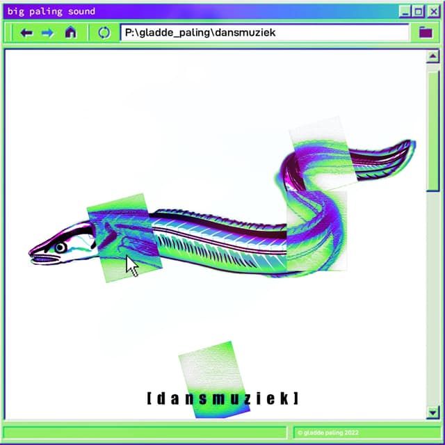 Album cover art for dansmuziek