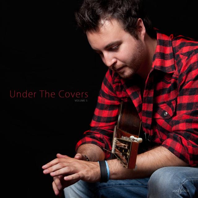 Album cover art for Under the Covers, Vol. 5