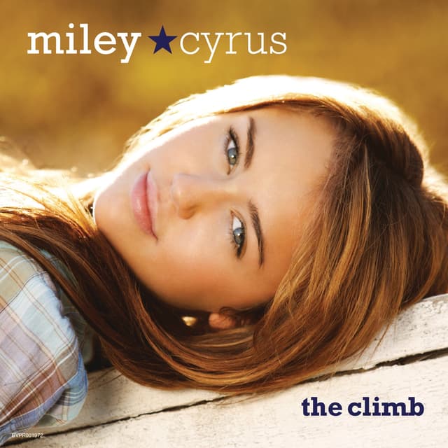 Album cover art for The Climb