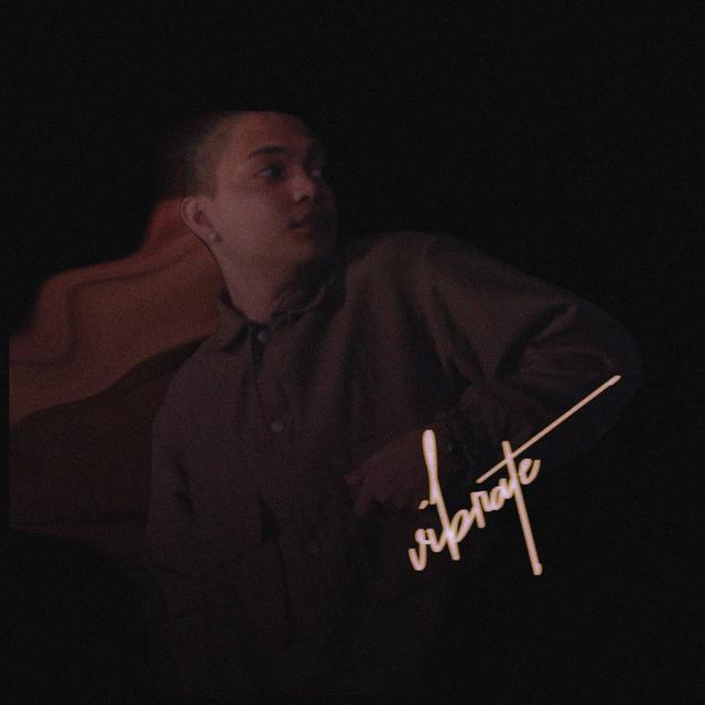 Album cover art for Vibrate