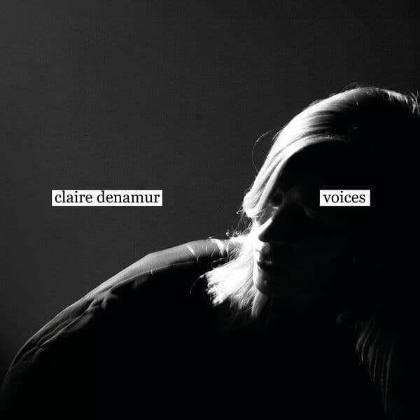Album cover art for Voices