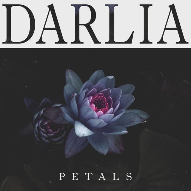 Album cover art for Petals