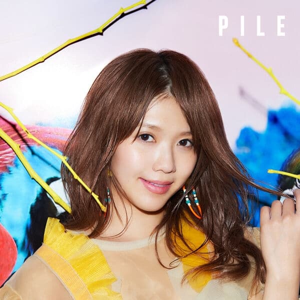 Album cover art for PILE