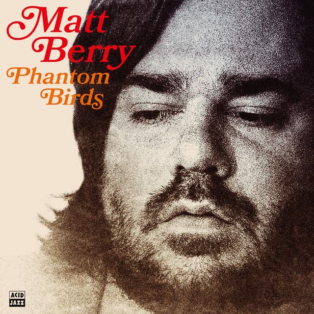 Album cover art for Phantom Birds